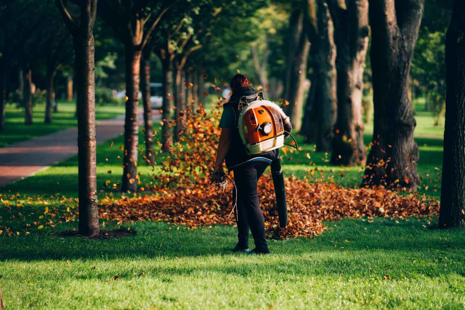 Best Tree Pruning Services  in Langston, OK